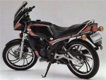 125 RDLC