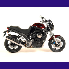 BT 1100 Bulldog 2005/2006 BT 1100 Bulldog 2005/2006