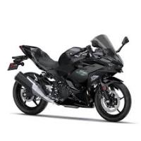 Ninja 500 EX500GGDA 2024/2025