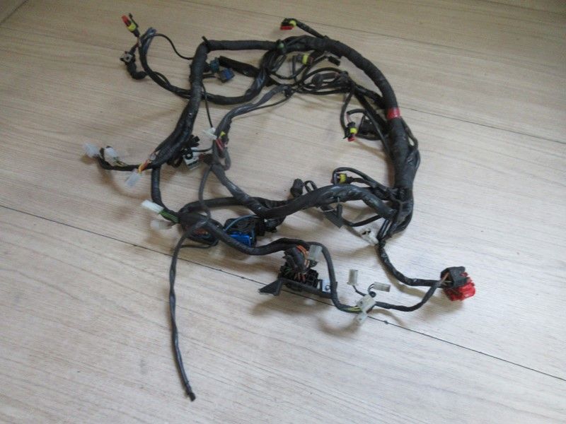 Faisceau principal Moto Guzzi 1200 Griso 8V LSE00 2007/2013