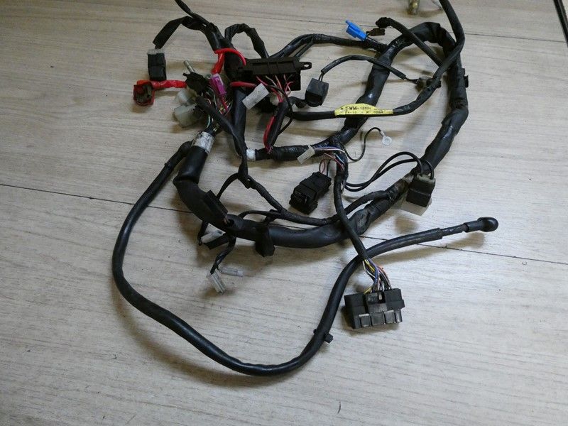 Faisceau prinicpal Yamaha 1300 XJR 2004/2006 