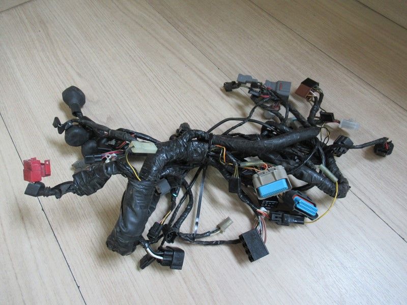 Faisceau principal, année 2005 Kawasaki Z 750 2004-2006