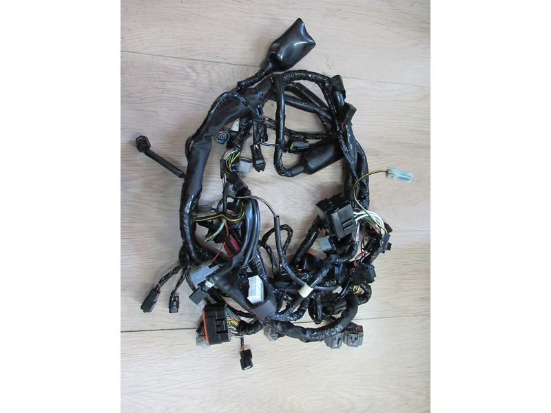 Faisceau principal Kawasaki ER6N 2006/2008 (260310400)