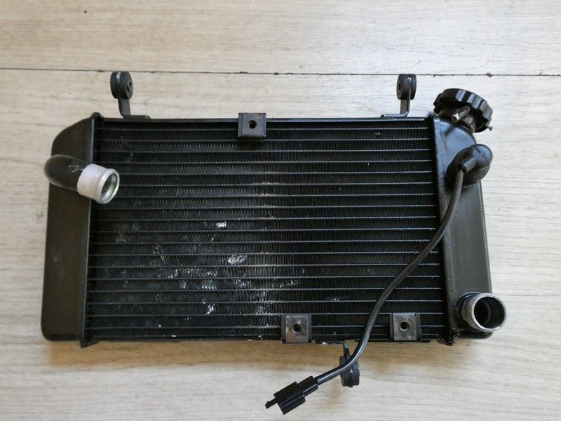 Radiateur Suzuki SV 650 N 1999/2002 JS1AV