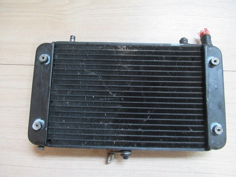 Radiateur Aprilia AF1 125 Europa 1991-1992