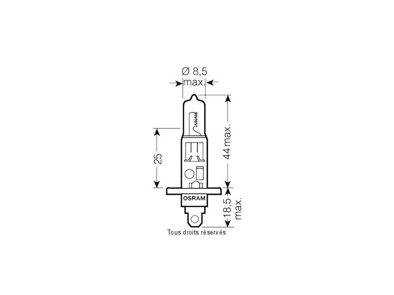 H1 Night Breaker - 12v 55w P14.5s -  Bister 1 Ampoule1
