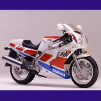 1000 FZR   type 3LF  1989/1990