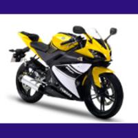 125 YZF-R type RE061 2008/2011