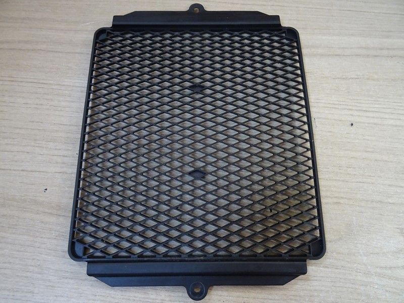 Grille de radiateur Triumph 1200 Scrambler 2019/-