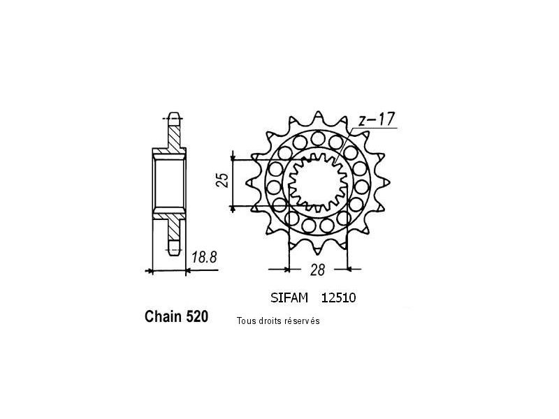 Pignon Racing Pas 520 Rsv 1000 98-06 12510cz0