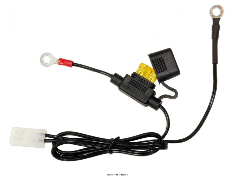 Cable Chargeur Batterie Pour ACCUGARD-900  Avec Fusible0