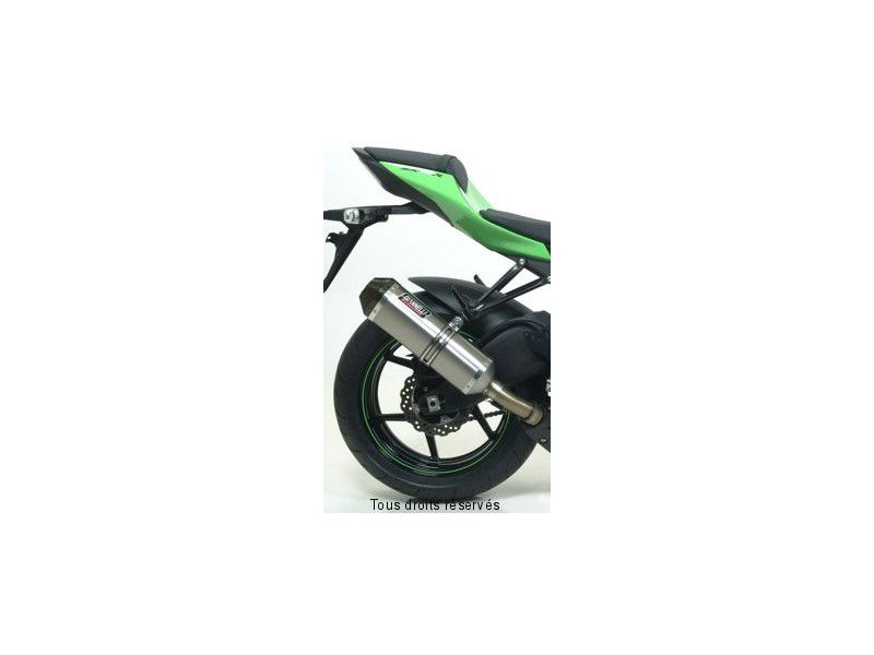 Sil.IPERSPORT  ZX 10 R  08/10 Hom. Sil. SlipOn Titane+Emb Carbone0