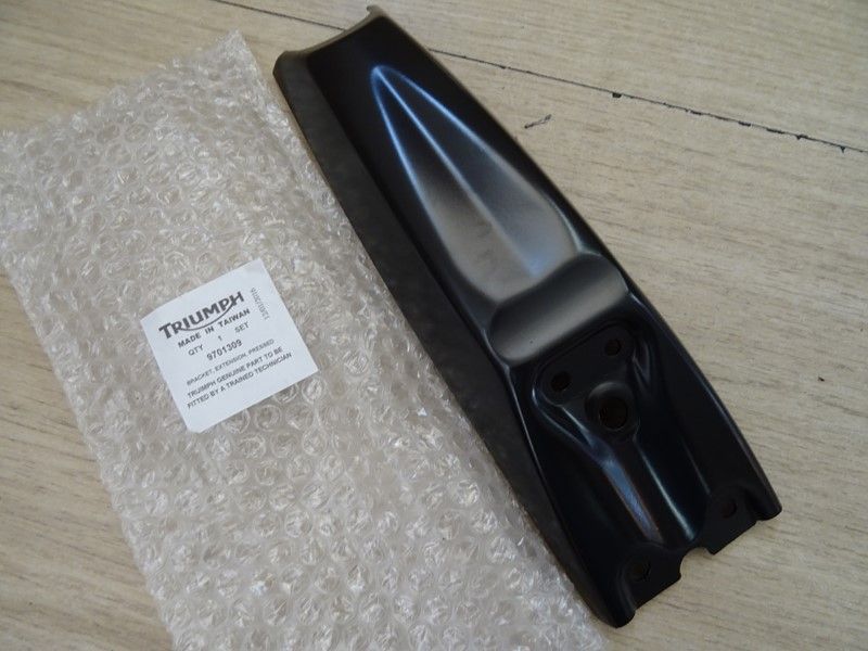 Support de plaque Triumph 1200 Thruxton RS 2020/- (T9703109)