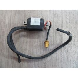 bobine pour johnson evinrude 50 à 135 CV